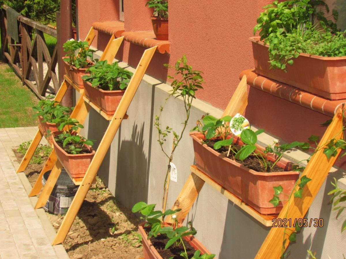 Bed and Breakfast Fregata Wilkasy Exterior foto